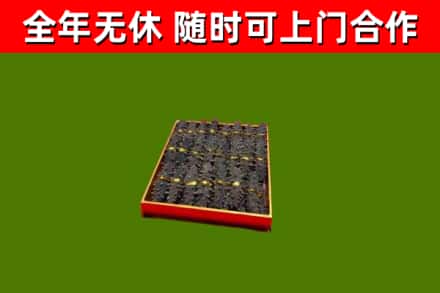 石河子市回收海参